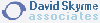 David Skyrme Associates