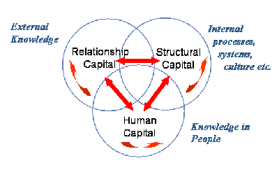 intellectual capital