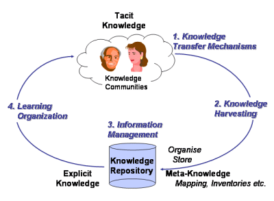 knowledge processes