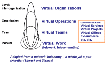 levels of virtual organization