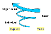 knowledge spiral